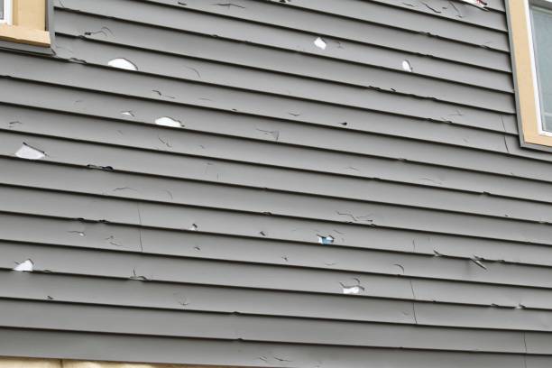 Best Custom Trim and Detailing for Siding  in Atlanta, TX