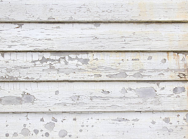 Affordable Siding Repair and Maintenance Services in Atlanta, TX