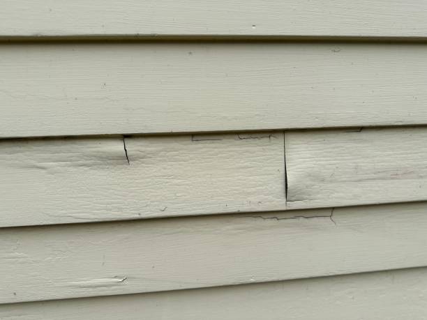 Best Storm Damage Siding Repair  in Atlanta, TX